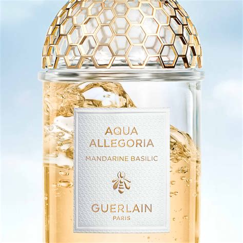 recharge aqua allegoria mandarine basilic